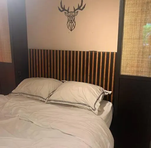 Veluws Boho In De Putten