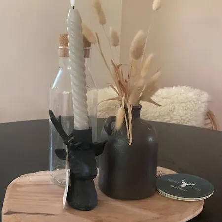 Chalet Veluws Boho In De Putten