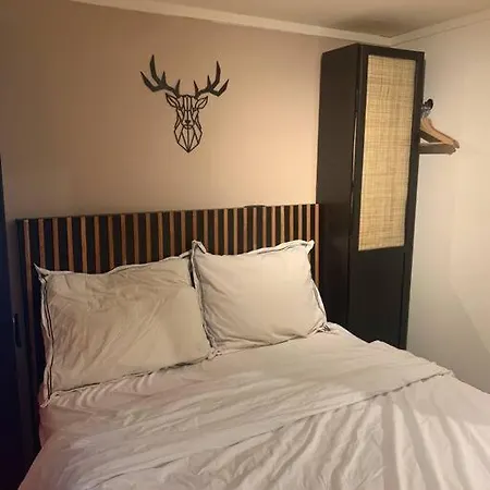 Chalet Veluws Boho In De Putten
