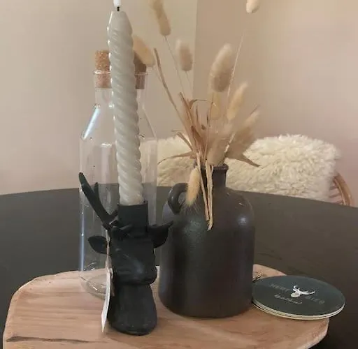 Chalet Veluws Boho In De Putten